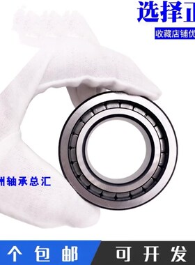 进口满滚子轴承SL045017 045018 045019 045020