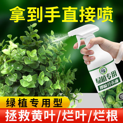 植物叶面肥绿植免稀释营养液发财树绿萝一喷绿促生长叶绿素叶面肥