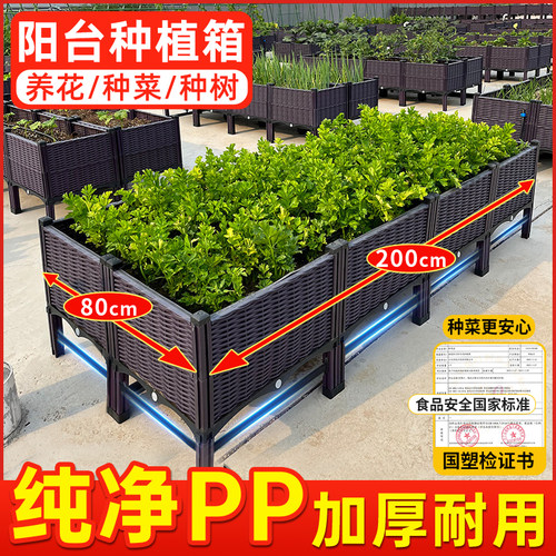 50cm超大种菜箱楼顶阳台种菜神器
