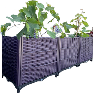 葡萄树特深种植箱家庭长方形塑料花盆种菜盆果树竹子花槽花箱户外