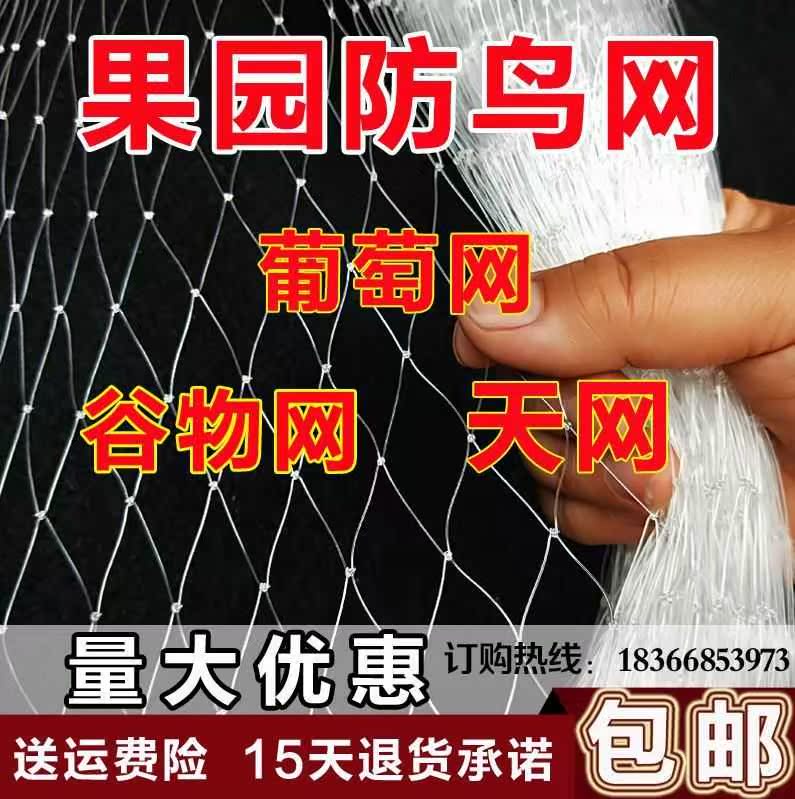 防鸟网 果园防鸟网 果树加密葡萄网保护养殖家用方便耐用种菜夏天|msdalam kategori penghantaran bunga/bunga simulasi/tumbuhan berkebun, Gardening Supplies, Peralatan Perkebunan lain - dari Buy2taobao.com untuk memberikan perkhidmatan ejen Taobao profesional membeli