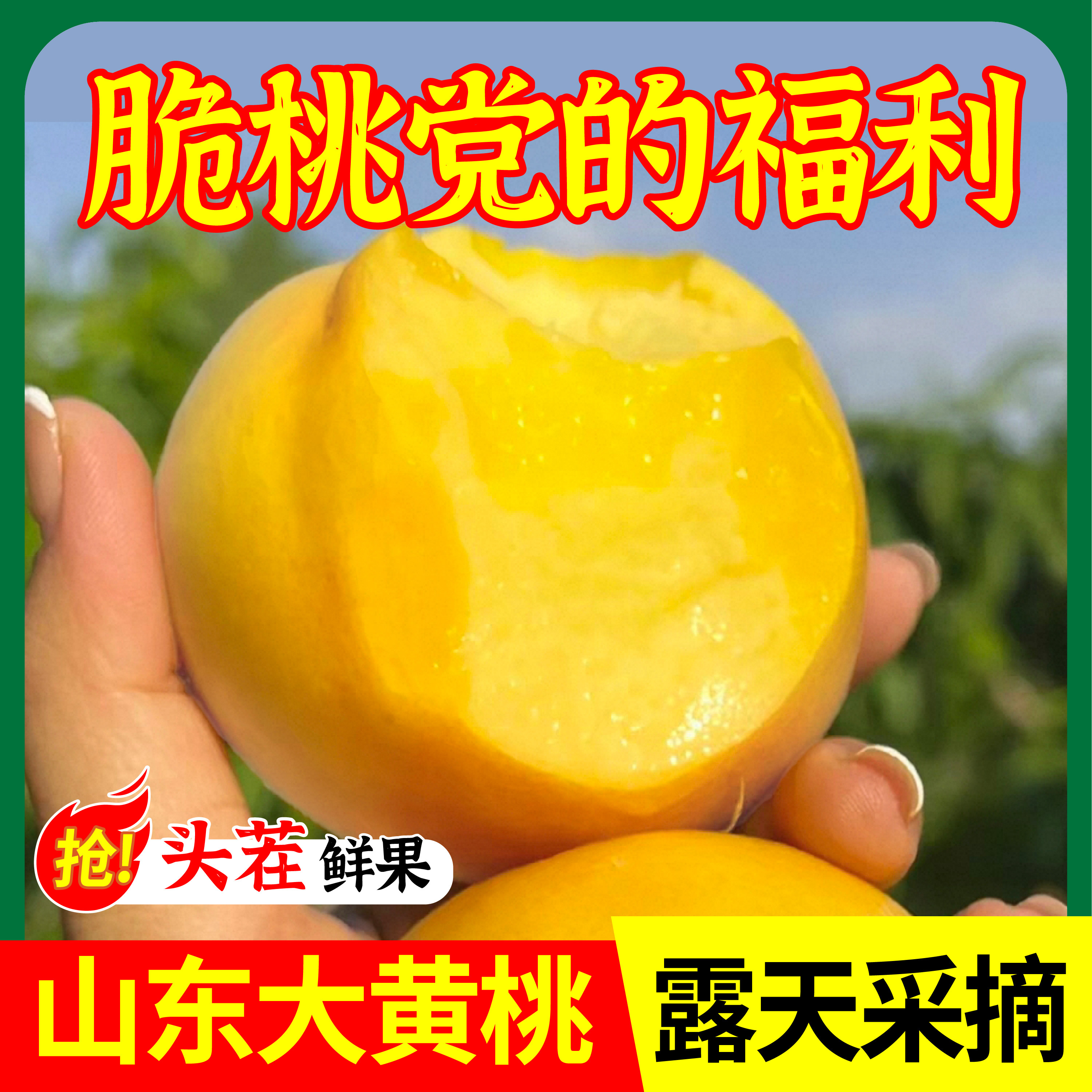 山东蒙阴黄桃黄金桃新鲜水果软硬两吃黄金蜜桃毛桃子鲜甜新鲜现摘