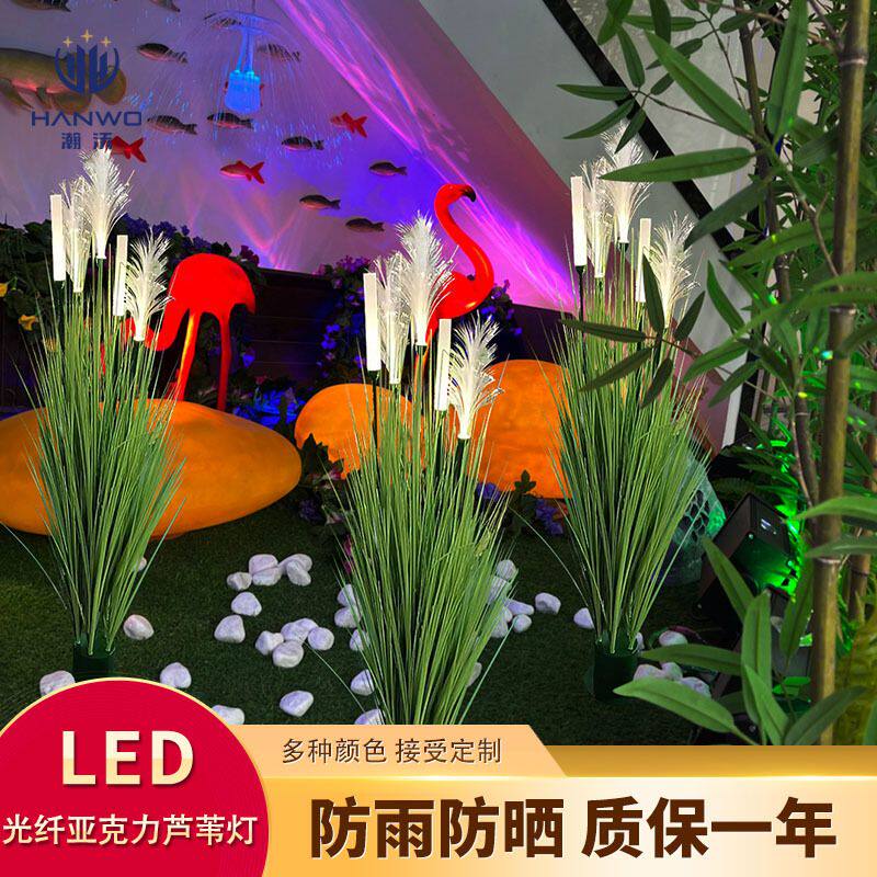 led5头光纤亚克力芦苇灯组创意庭院灯户外公园景观装饰亮化草坪灯