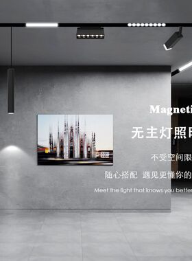 磁吸轨道灯48V无主灯嵌入式射灯暗装明装线条客厅店铺led照明白色