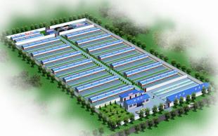 养殖场设计案例效果图 加工厂鸟瞰图 水产加工厂 厂区鸟瞰图