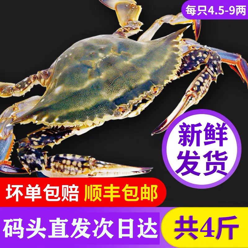 【保鲜不保活】舟山梭子蟹特大舟山野生大螃蟹白蟹新鲜海鲜水产
