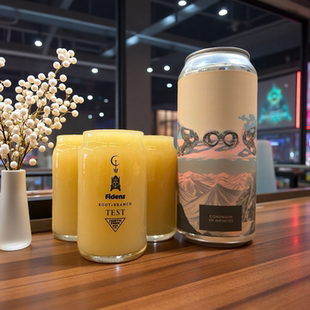 老K美国空运TEST本末TROON特伦合酿高分尖货三倍浑浊ipa精酿啤酒