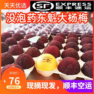 顺丰空运福建漳州新鲜东魁大杨梅不泡药现摘现发孕妇当季水果鲜果