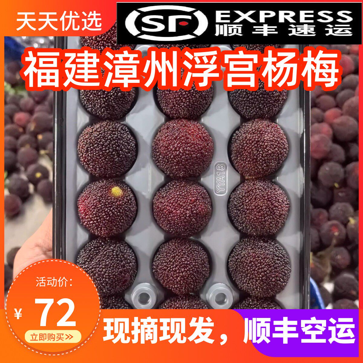 福建漳州浮宫杨梅顺丰空运包邮颗粒装新鲜现摘孕妇当季水果礼盒装