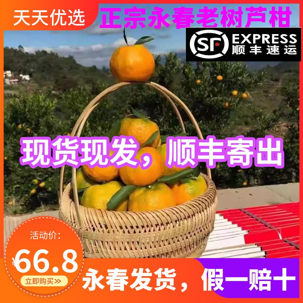 顺丰快递正宗福建永春芦柑椪柑80mm以上新鲜特大孕妇水果礼盒装,水产肉类/新鲜蔬果/熟食,桔子,淘宝优惠券,粉丝福利购,淘宝优惠卷