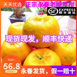 顺丰包邮正宗福建永春芦柑老树椪柑新鲜孕妇水果10斤装
