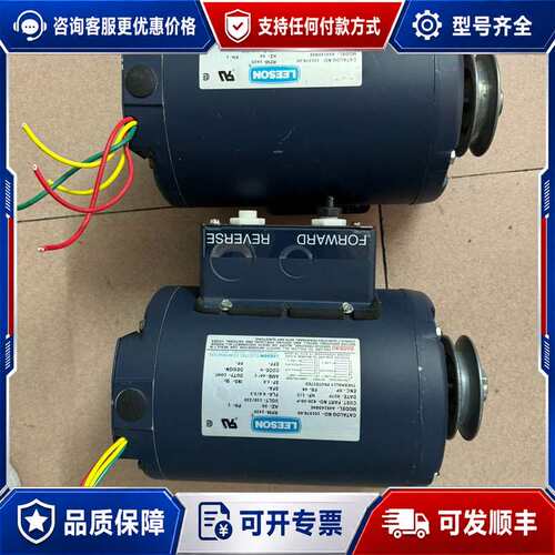 议价LEESON电机，A4S14DB4E，829-50-P，可维修
