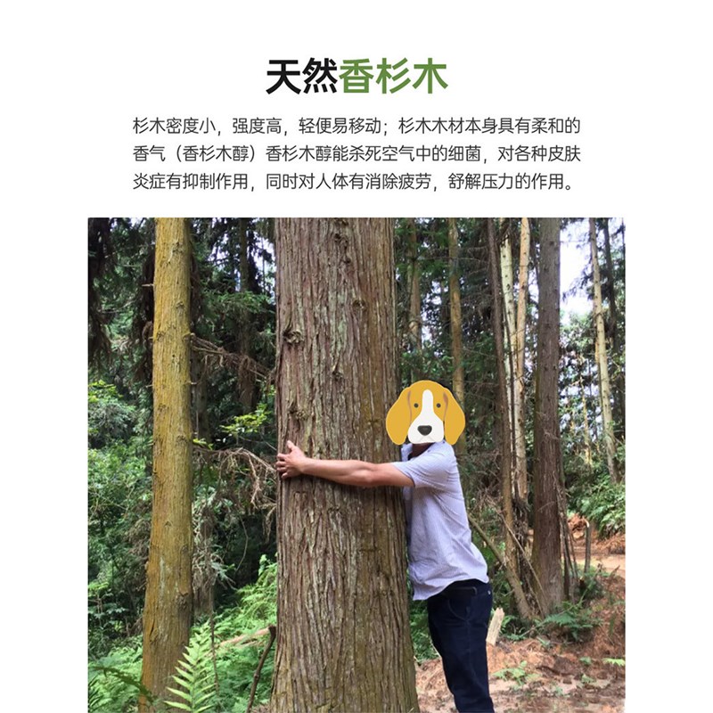 实木杉木床板宿舍板材护腰床板条子家用铺板硬板床垫支撑架排骨架图片