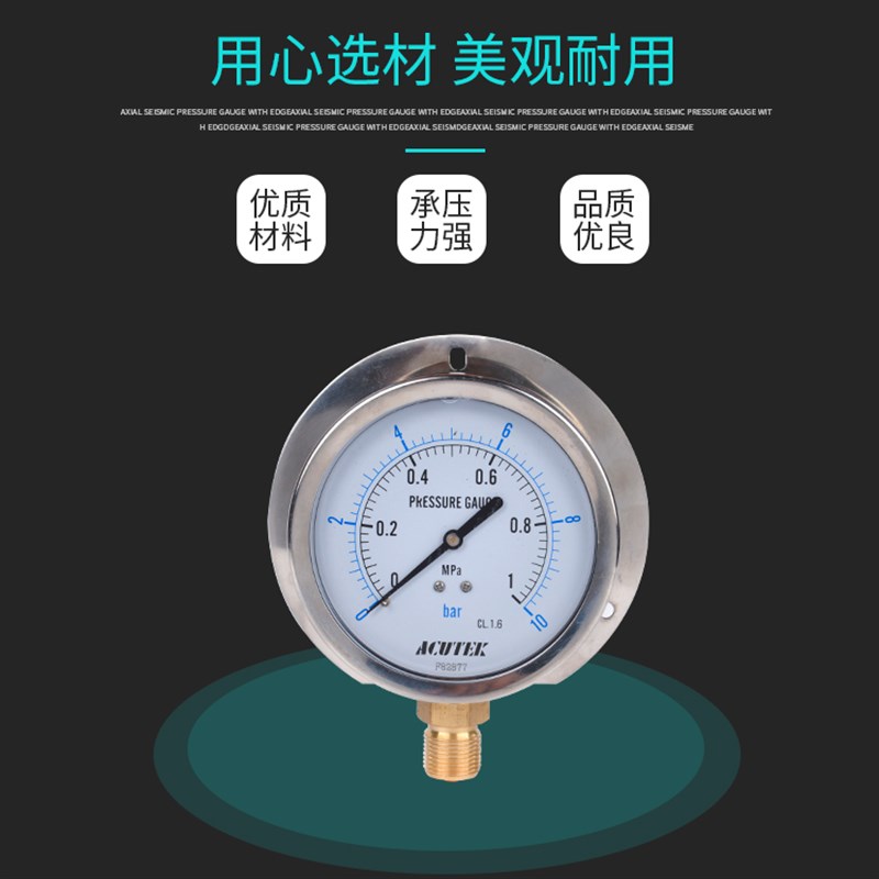 径向带边耐震压力表 YN100T 1MPA 20*1.5 船用 防震 抗震压力表