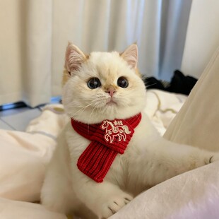 新年猫咪围脖宠物口水巾小配饰小猫围巾围兜过年装扮编织红色喜庆