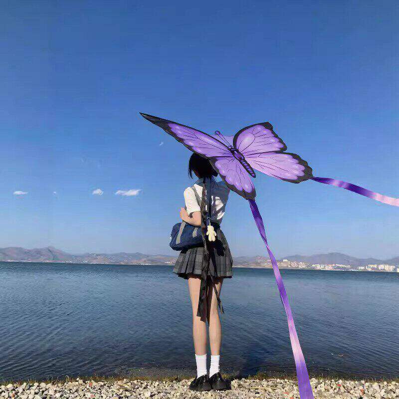 蝴蝶风筝大人专用潍坊高档2026新款成人高颜值粉色飘带拍照风筝