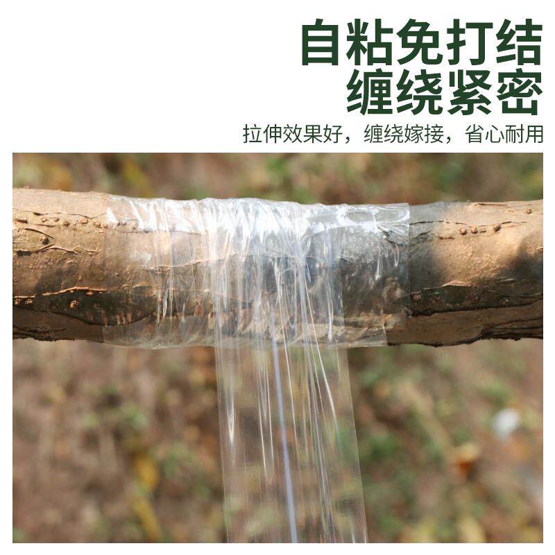 园林果树稼接膜专用缠绕膜荔枝树木苗嫁接自粘防水高弹性架接贴膜