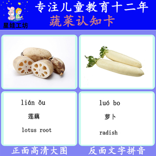 蔬菜宝宝早教认知卡片早教语言发育迟缓家庭干预儿童训练教材教具