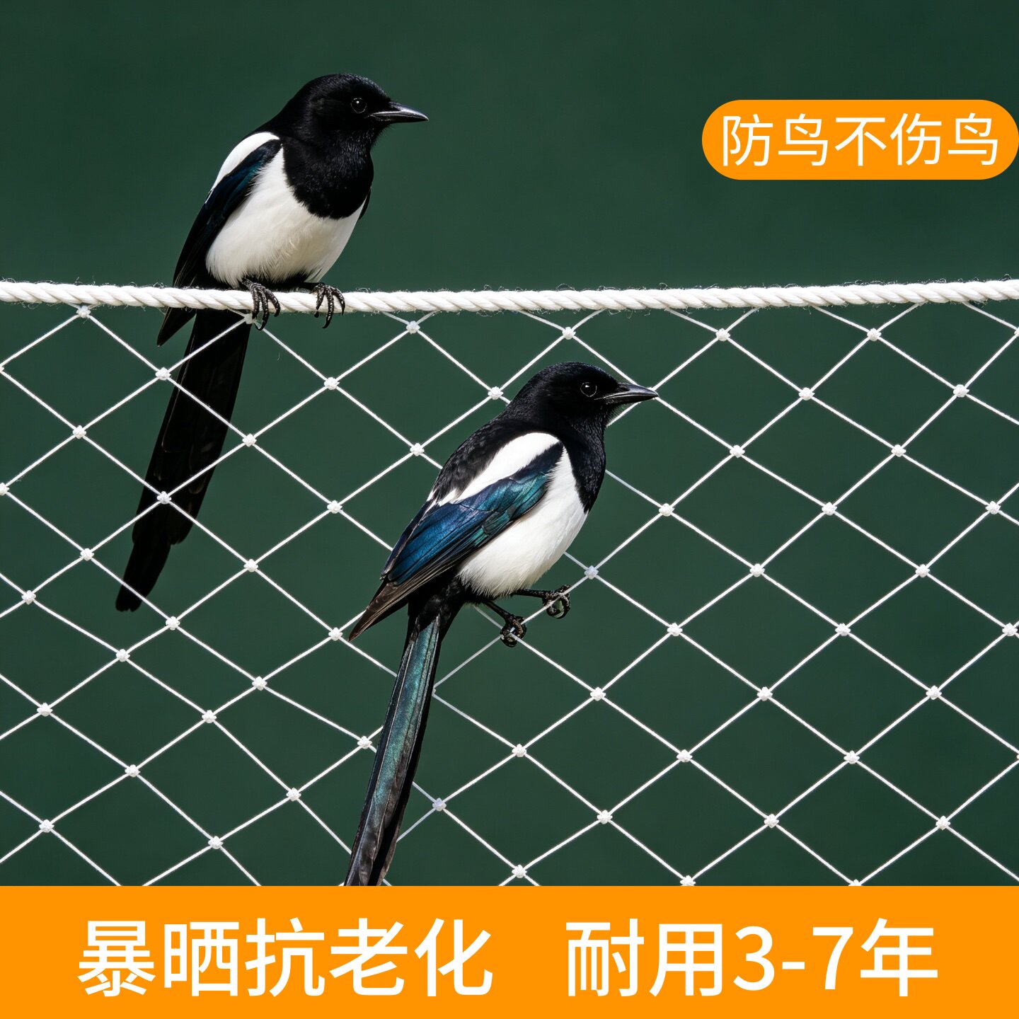 【耐用3-7年】防鸟网果树专用