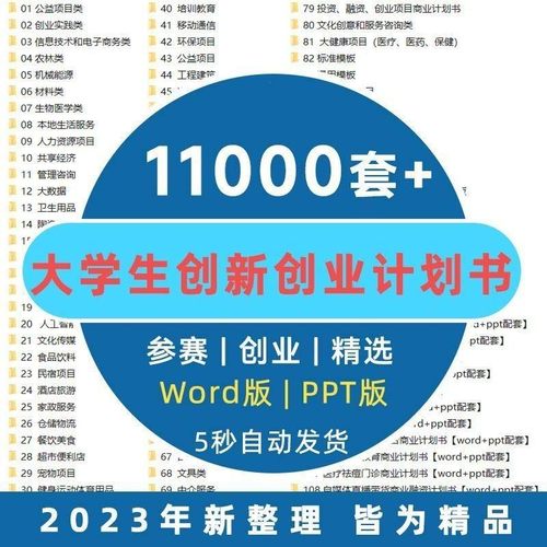 互联网大学生创新创业项目计划书word成品商业项目策划书ppt模板