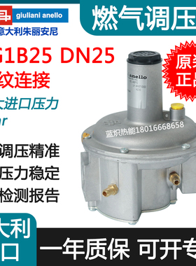 FG1B25 DN25/1寸 意大利朱丽安尼天然气燃气调压阀稳压阀减压阀