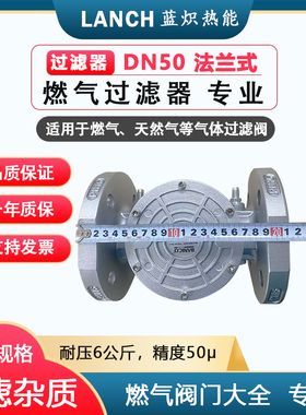 燃气天然气过滤器 锅炉燃烧机法兰过滤器 液化气过滤器BANICO管道