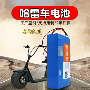 哈雷电动车电池60V48V通用外卖电瓶大容量20ah18650锂电池组