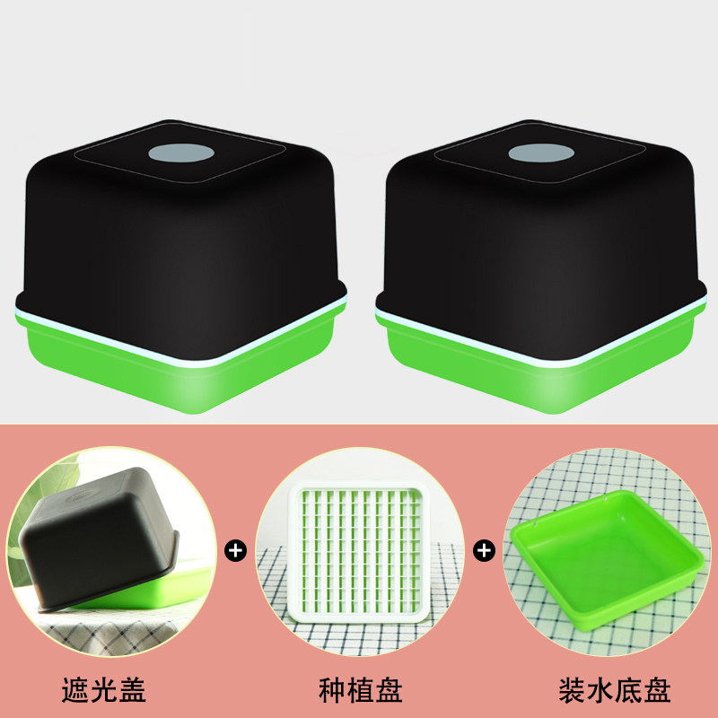 花生芽发芽神器绿豆芽发芽盆芽苗菜育苗盘豆苗水培盒花生苗种植箱