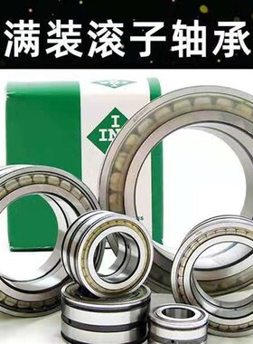 INA圆柱滚子轴承SL04 5019 5020 5022 5024 5026 PP