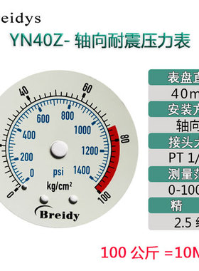 YNBF40Z轴向不锈钢压力表无铜无锌气动压力表液压0-10KG一分牙1/8