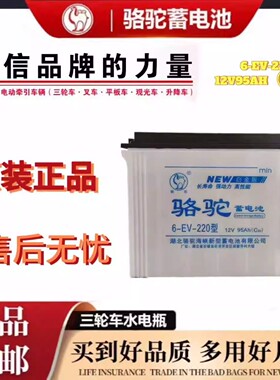 骆驼蓄电池6EV240型水电池铅酸电池大容量三轮四轮电动叉车观光车