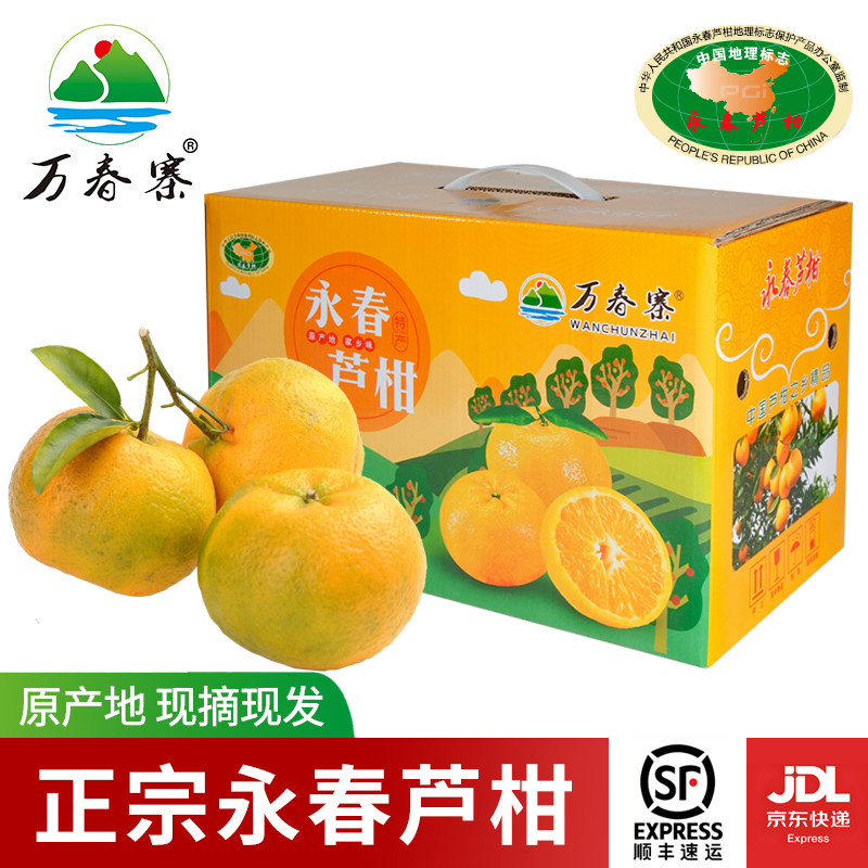 万春寨正宗福建永春芦柑皮薄多汁现摘水果10斤装果园直发橘子柑桔