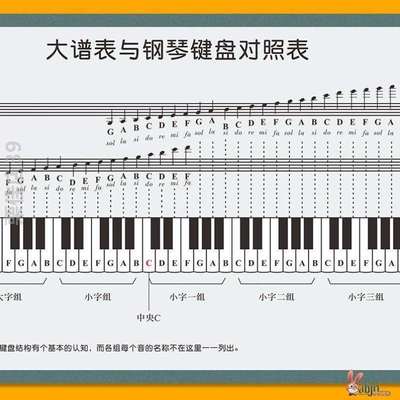 识谱初学者家用挂图钢琴与音符.大普表钢琴键盘对照表五线谱神器