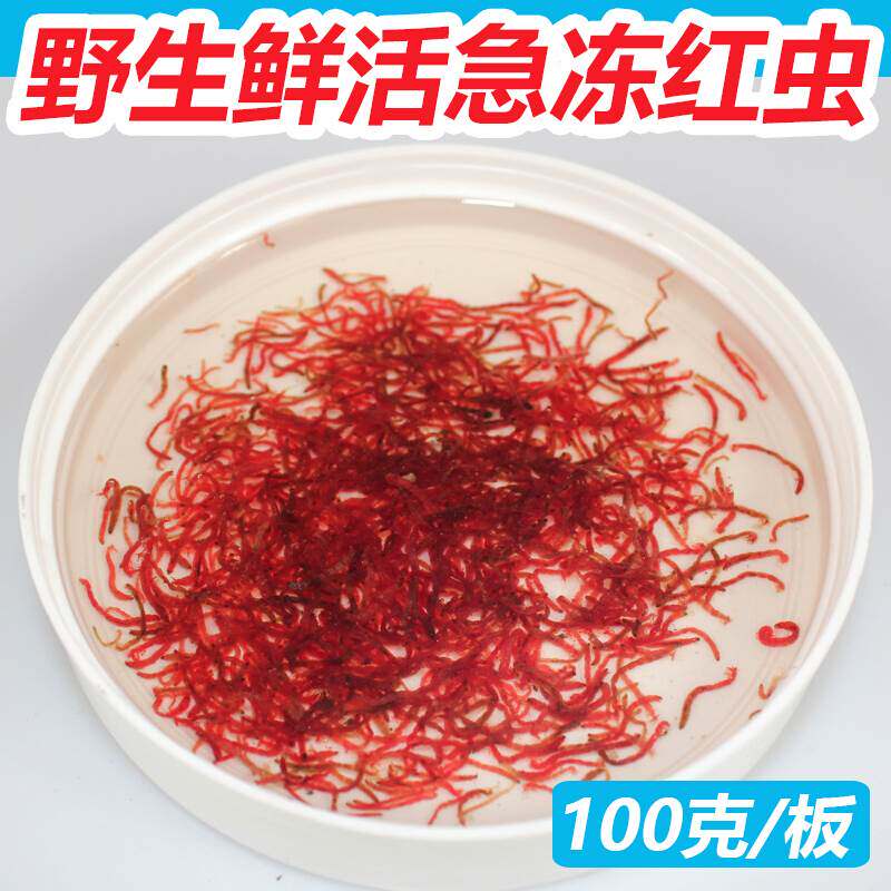 Freezing Bloodworm Frozen blood worms Red worms Red Brine shrimp Salamander Ocean fish Colorful Fish Food Fish feedin the Pet/Pet food and supplies , Aqua World , Ornamental fish feed  category - from Buy2taobao.com to provide professional Taobao agent buy service
