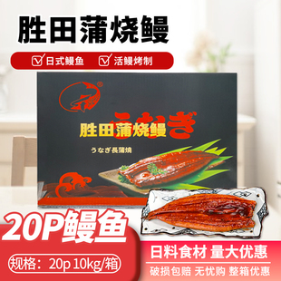 【20P胜田鳗鱼】活鳗制作蒲烧5KG/10KG蒲烧无汁 高品质量大优惠