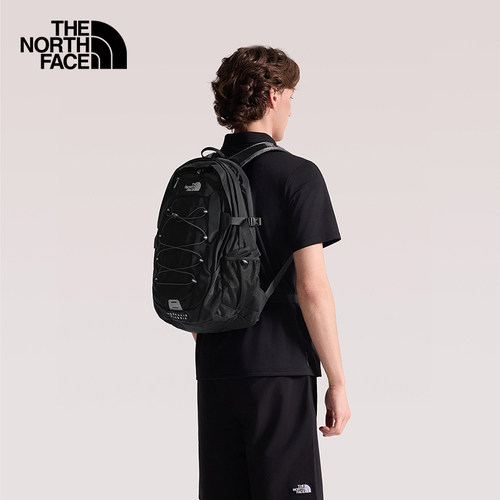 TheNorthFace户外徒步29升双肩包