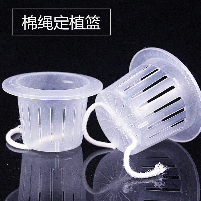 水培棉绳定植篮固根器杯加深超深自动浇水花瓶卉蔬菜盆栽塑料漏网