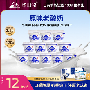 华山牧新品原味老酸奶120g*12碗酸奶碗古法制作低温酸奶