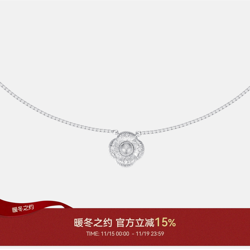 CINNLER高级感拉丝小众925银项链