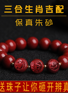 2024龙年十二生肖三合朱