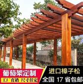 遮雨布简易葡萄架地板杆子铁丝网单边木质走廊柱子实木公园雨棚