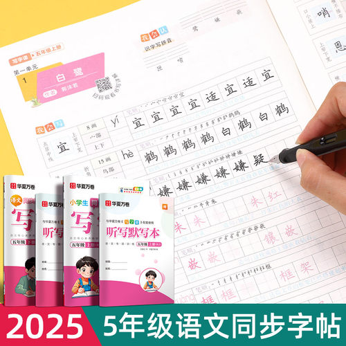 五年级上册下册字帖语文同步2024