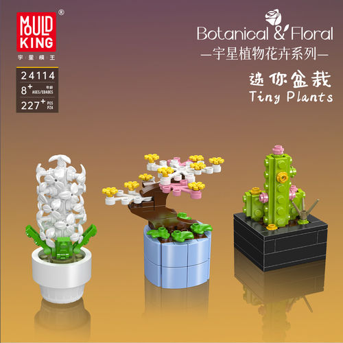 宇星模王积木花迷你盆栽