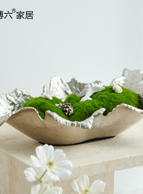 不规则银色椭圆形收纳碗托盘果盘