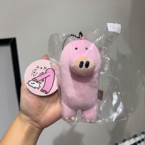 现货可爱短鼻猪nagano长鼻猪