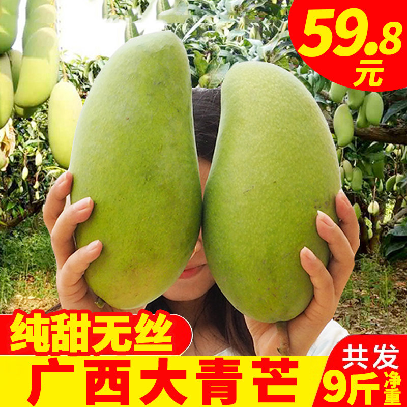 fresh Guangxi Qingmang Season fruit Mango Season 10 Peel Jinhuang Narcissu Large Net weight 9in the Aquatic meat/Fresh fruits and vegetables/Cooked , Fresh fruit , Mango  category - from Buy2taobao.com to provide professional Taobao agent buy service