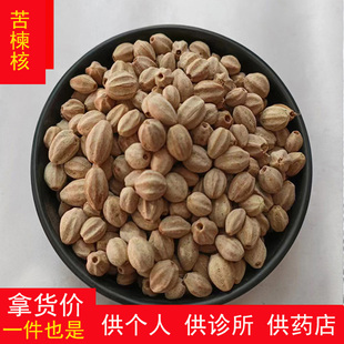 苦楝子核 苦楝籽核去皮 苦心子果核 500克另售苦楝籽苦楝皮苦楝花
