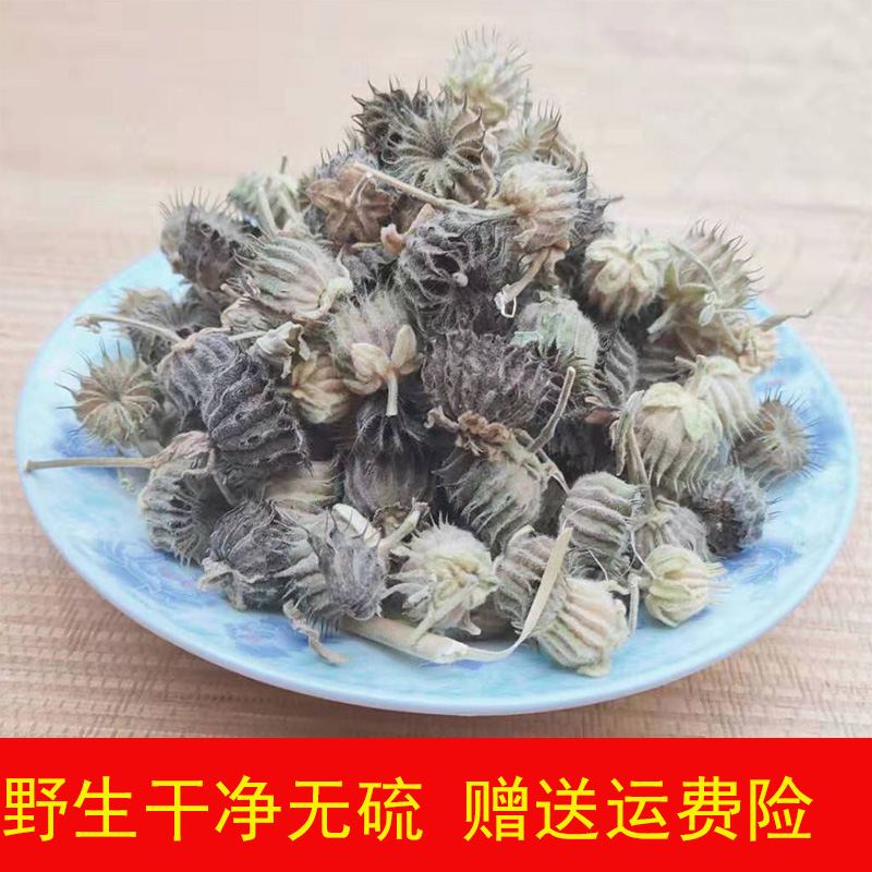 苘麻子中药材500克可打粉