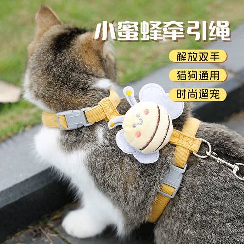 腊肠犬胸背批发猫咪蜜蜂牵引绳可爱溜猫绳胸背带背心式遛狗绳狗狗