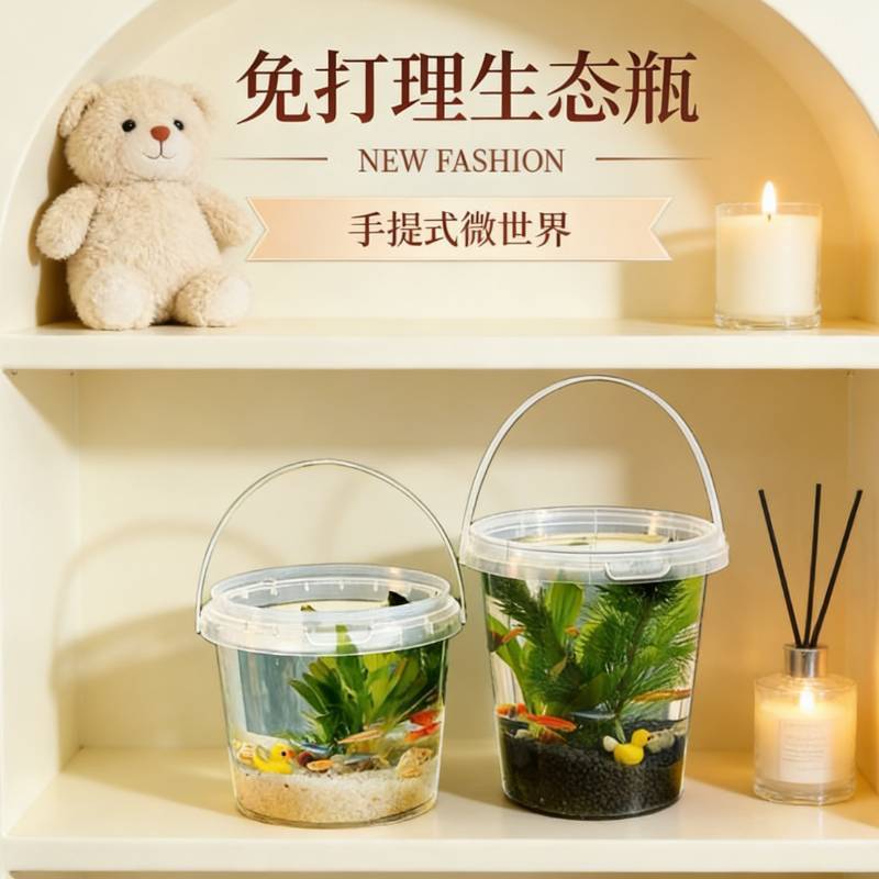 初中生物生态瓶科学生态瓶微景观DIY手提diy材料鱼缸观赏鱼虾螺八